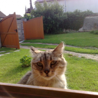 Photo #106951 de Caramel