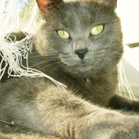 Photo #106993 de Minette