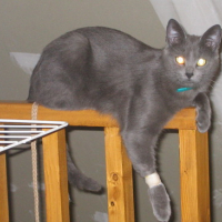 Photo #106999 de Minette