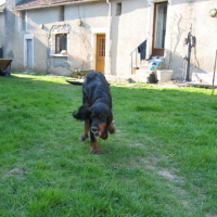 Photo #107011 de Opium