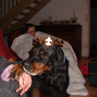 Photo #107029 de Opium
