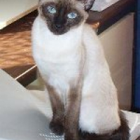Photo #107431 de Musty