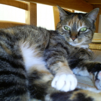 Photo #107725 de Bonny
