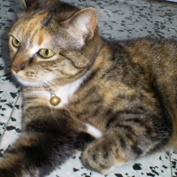 Photo #107731 de Bonny