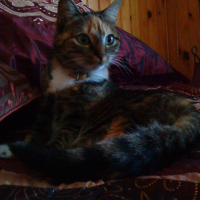 Photo #107737 de Bonny