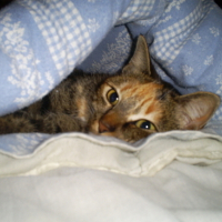 Photo #107743 de Bonny