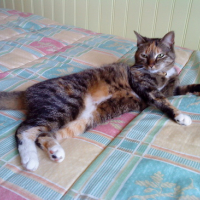 Photo #107749 de Bonny
