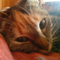Photo #107755 de Bonny