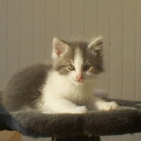 Photo #107779 de Clyde