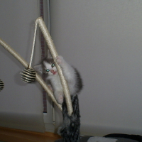 Photo #107785 de Clyde