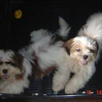 Photo #107929 de Peaches and pudge