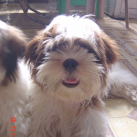 Photo #107941 de Peaches and pudge
