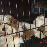 Photo #107947 de Peaches and pudge