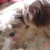 Photo #107953 de Peaches and pudge