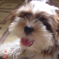 Photo #107959 de Peaches and pudge