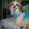 ARIES_2nd_BIRTHDAY-_APRIL_02_2009_003