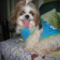 ARIES_2nd_BIRTHDAY-_APRIL_02_2009_004