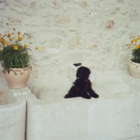 Photo #108685 de Tess
