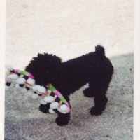 Photo #108691 de Tess