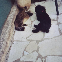Photo #108709 de Tess