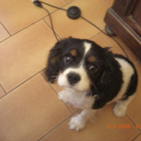 Photo #108745 de Diam's