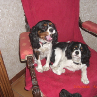 Photo #108751 de Diam's