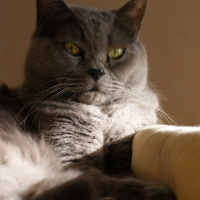 Photo #108895 de Nuage