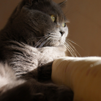 Photo #108901 de Nuage