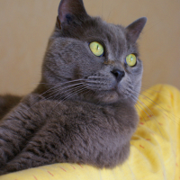 Photo #108907 de Nuage