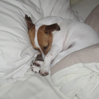 Photo #108955 de Spicy