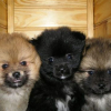 BB_Titoune_130406