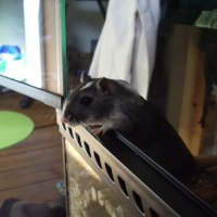 Photo #109633 de Nam-nam
