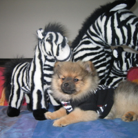 Photo #109669 de Barrio