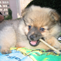 Photo #109681 de Barrio