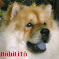 Photo #110197 de Chubby