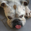 DSCN3180