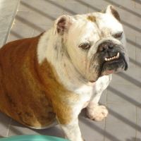 Photo #110251 de Ainzo