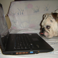 Photo #110257 de Ainzo