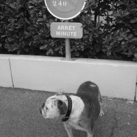 Photo #110269 de Ainzo