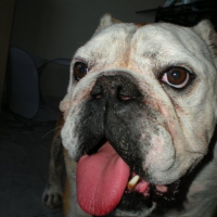 Photo #110275 de Ainzo