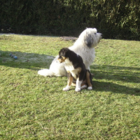 Photo #110371 de Duxanne