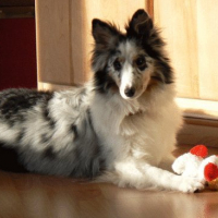 Photo #110521 de Maya