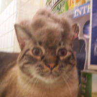 Photo #110647 de Pepito