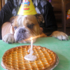 l'anniversaire de Balou