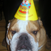 Photo #110929 de Balou