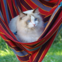 DSC00528
