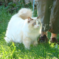 DSC00520
