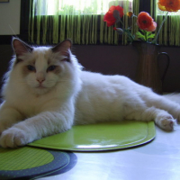 Photo #111673 de Doudou d'amour