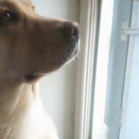 Photo #111949 de Yumi