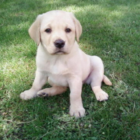 Photo #111955 de Yumi